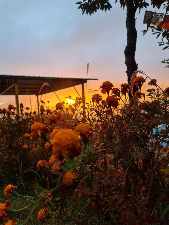 The Kanatal Arbour Eksteriør billede