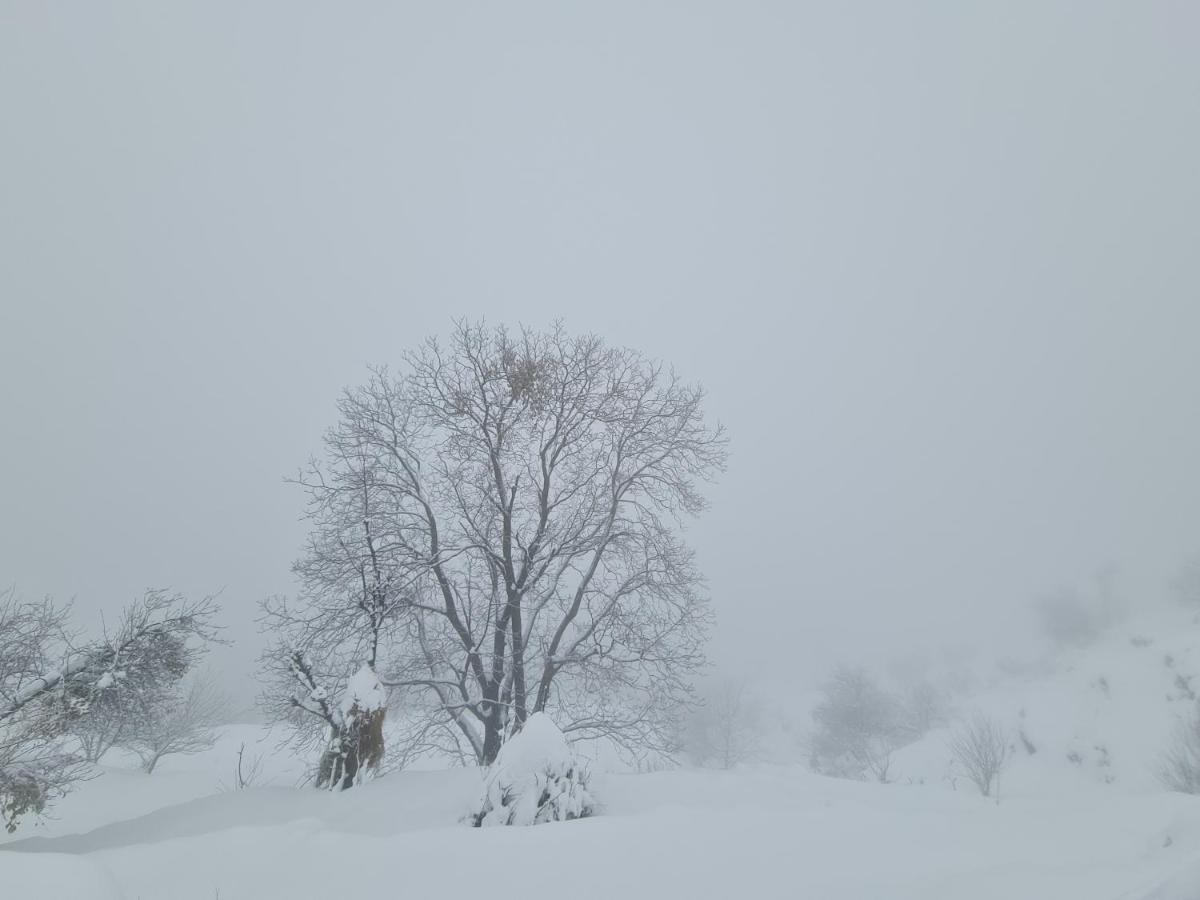 The Kanatal Arbour Eksteriør billede